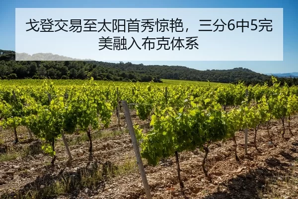 戈登交易至太阳首秀惊艳，三分6中5完美融入布克体系