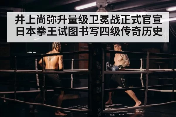 boxing ring lights